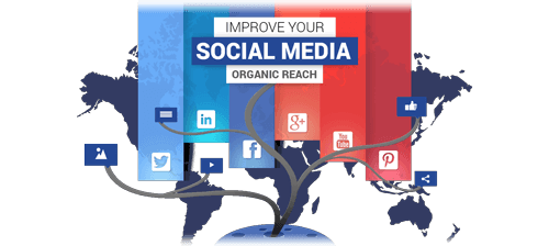 Improve Your Social Media Organic Reach